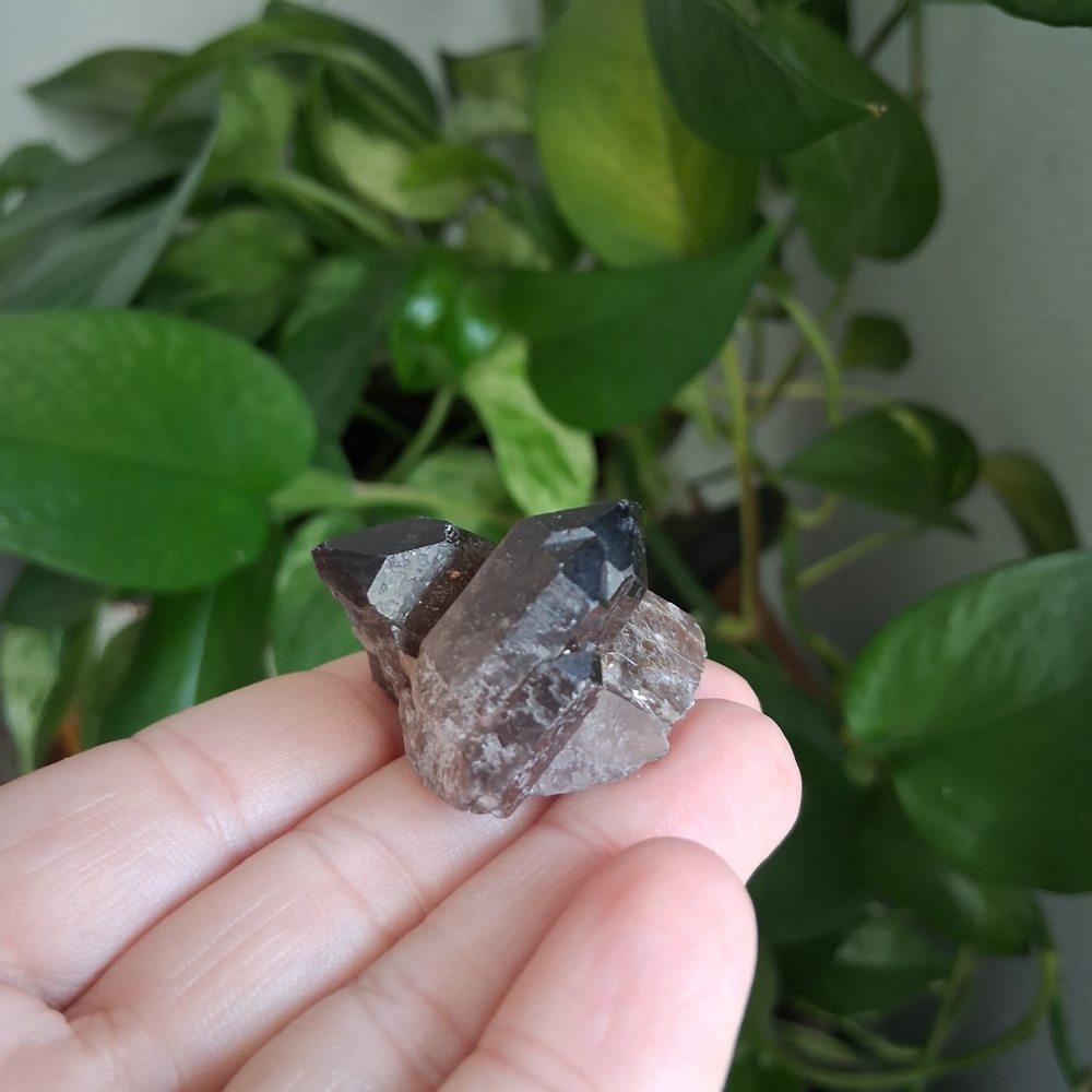 Natural Smoky Quartz Crystal Cluster
